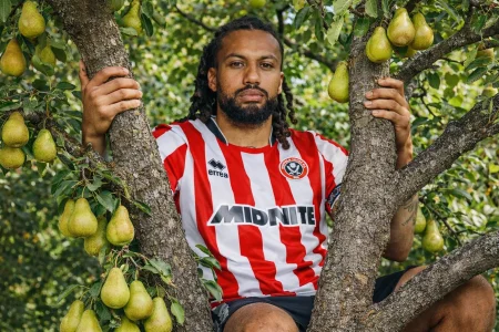 jairointree.webp jairointree.webp