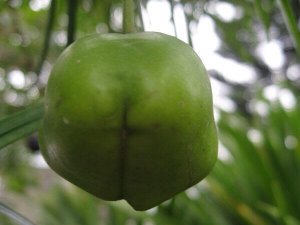 image.jpeg