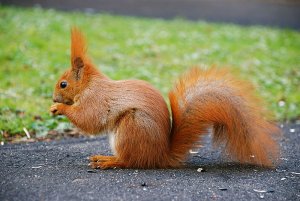 IMG_0116.JPG