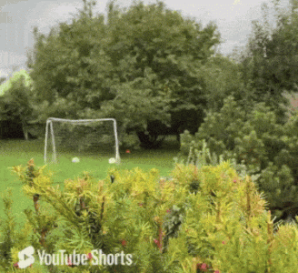 1771089102907.gif 1771089102907.gif