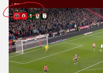 1771449203191.webp 1771449203191.webp