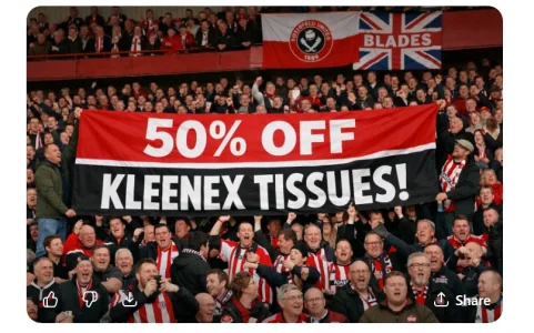 1771514043553.webp 1771514043553.webp