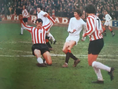 1771616408622.webp 1771616408622.webp