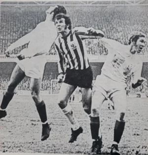 1771616531335.webp 1771616531335.webp