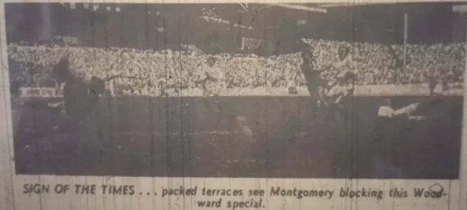 Sund71Woody.webp Sund71Woody.webp