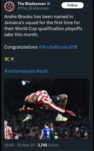 40559.webp 40559.webp