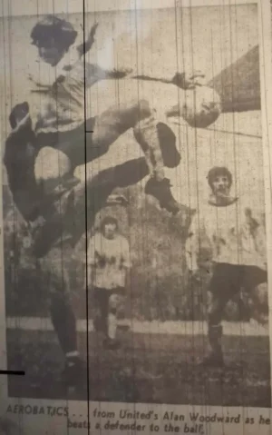 Boro71Woody.webp