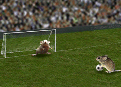 IMG_4765.gif