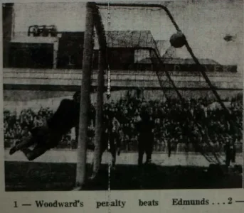Wat71Woodypenstar.webp