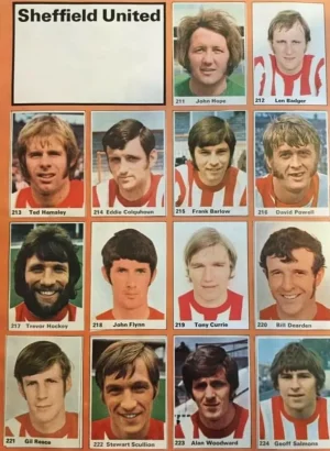 SUFC71.webp
