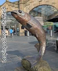 1779875494946.webp