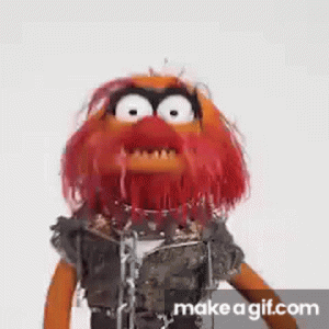 zpdY2j.gif