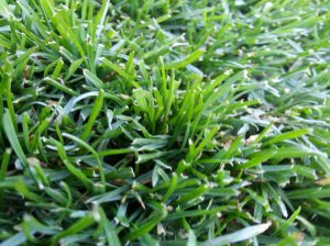 20170408_165948.jpg 20170408_165948.jpg