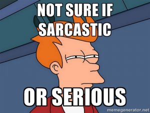 830678d89f347449e1e3b46df67f0ff5_not-sure-if-fry-meme-sarcasm_500-375.jpeg