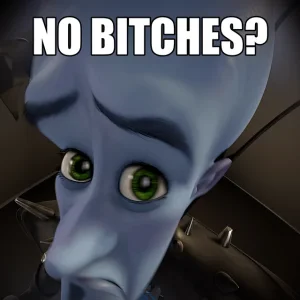 megamind-no-bitches-meme-3264x3264-v0-gb5bw6safuu81.webp