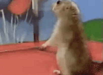 27238.gif
