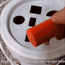 1000070939.gif 1000070939.gif