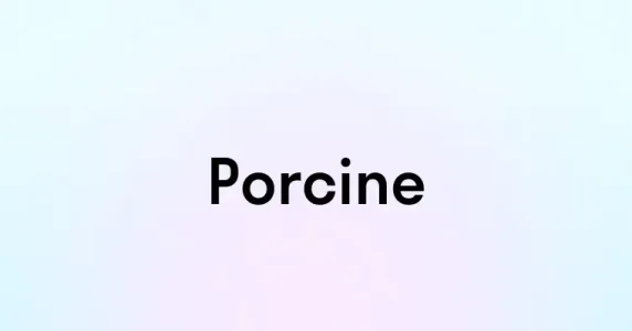1787083351460.webp