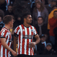 1000036704.gif