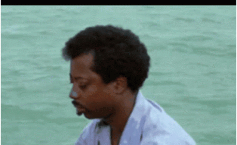 IMG_2163.gif
