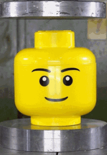 IMG_8800.gif