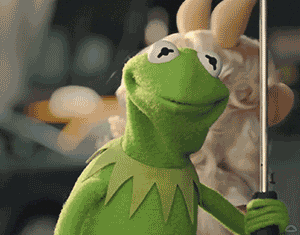 No Idea Idk GIF by Muppet Wiki.gif