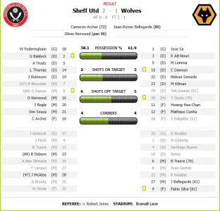 SUFC VERSUS WOLVES.webp