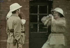 FavoriteCompassionateColt-max-1mb.gif