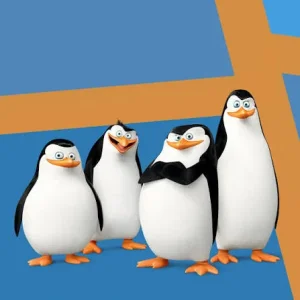 images.webp