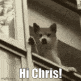 hi-chris.gif
