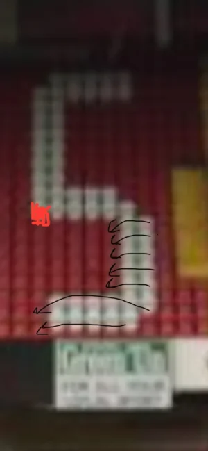 IMG_8943.webp