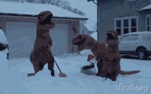 IMG_9409.gif IMG_9409.gif