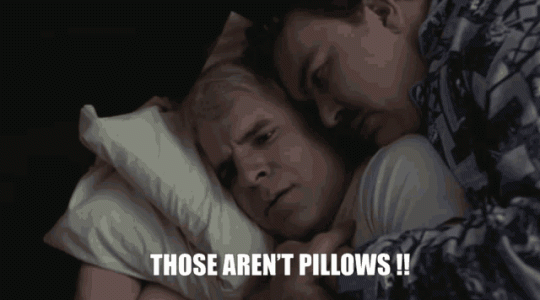 planes-trains-automobiles-those-arent-pillows.gif planes-trains-automobiles-those-arent-pillows.gif