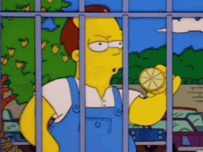 1000082962.gif 1000082962.gif