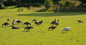 IMG_0231.JPG IMG_0231.JPG