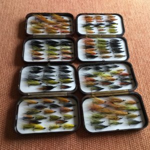 IMG_0281.JPG IMG_0281.JPG