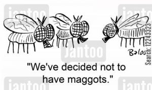 IMG_0233.JPG IMG_0233.JPG