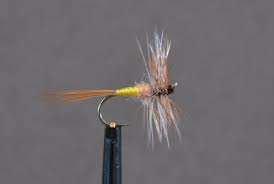 upload_2017-4-17_10-29-23.jpeg upload_2017-4-17_10-29-23.jpeg