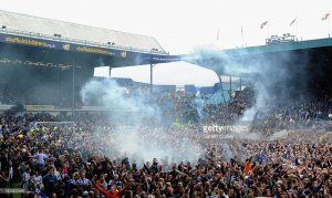 image.jpeg image.jpeg