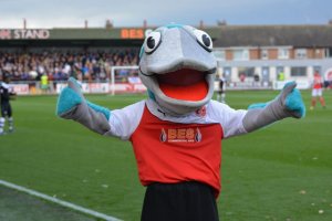 bws784qccaag-le.jpg bws784qccaag-le.jpg