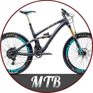 Wagners Ring Cycle.jpg