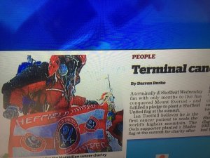 image.jpeg