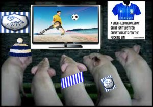 pizap.com14986841312871.jpg