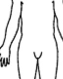 image.jpeg