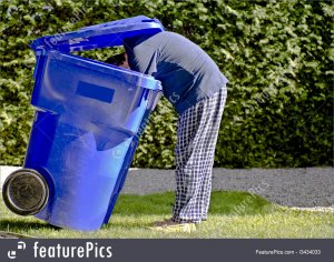 searching-recycle-bin-stock-picture-2434033.jpg