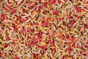 IMG_0863.JPG IMG_0863.JPG