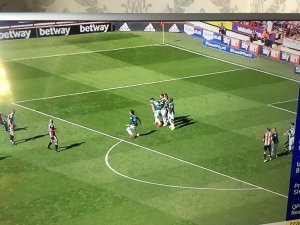 IMG_3388.JPG IMG_3388.JPG