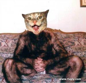 CatMan.jpg CatMan.jpg