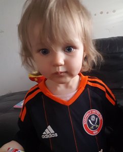 IMG-20170627-WA0000.jpg IMG-20170627-WA0000.jpg