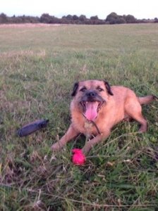 IMG_1689.JPG IMG_1689.JPG